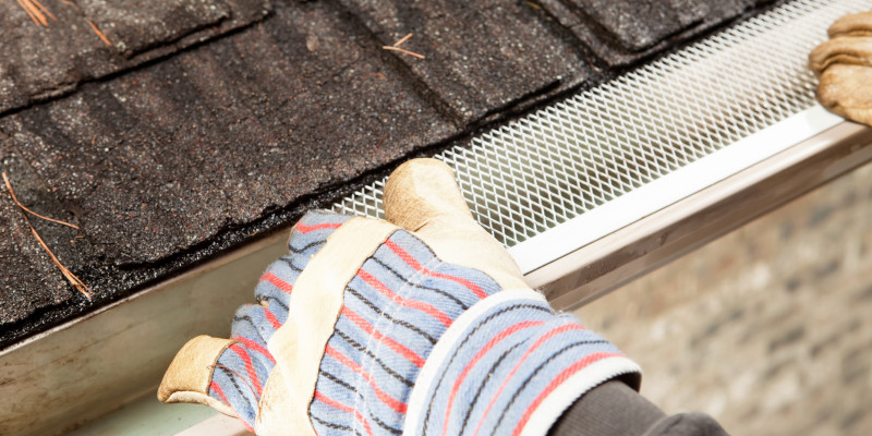 Want to Never Clean Your Gutters Again? Get a Leaf Guard!