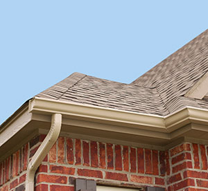 Protect Your Home with Gutter Replacement